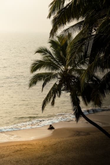 Goa Beach & Shacks Break